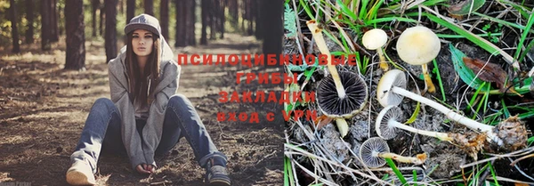 соль ск Балахна