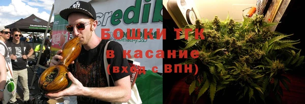 прущие грибы Белоозёрский