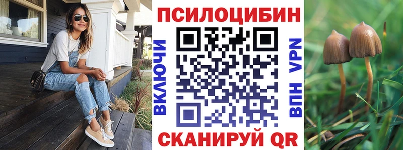 KRAKEN маркетплейс  Бородино  Галлюциногенные грибы Magic Shrooms 